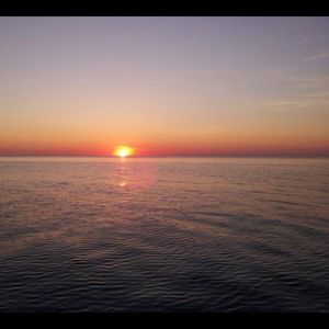 Meet your Posher, Anne